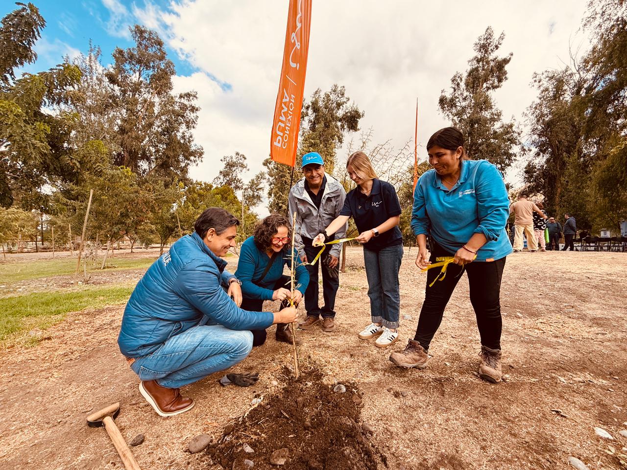 Peñaflor recibe nuevos ejemplares de algarrobo de la mano de ISA Vías